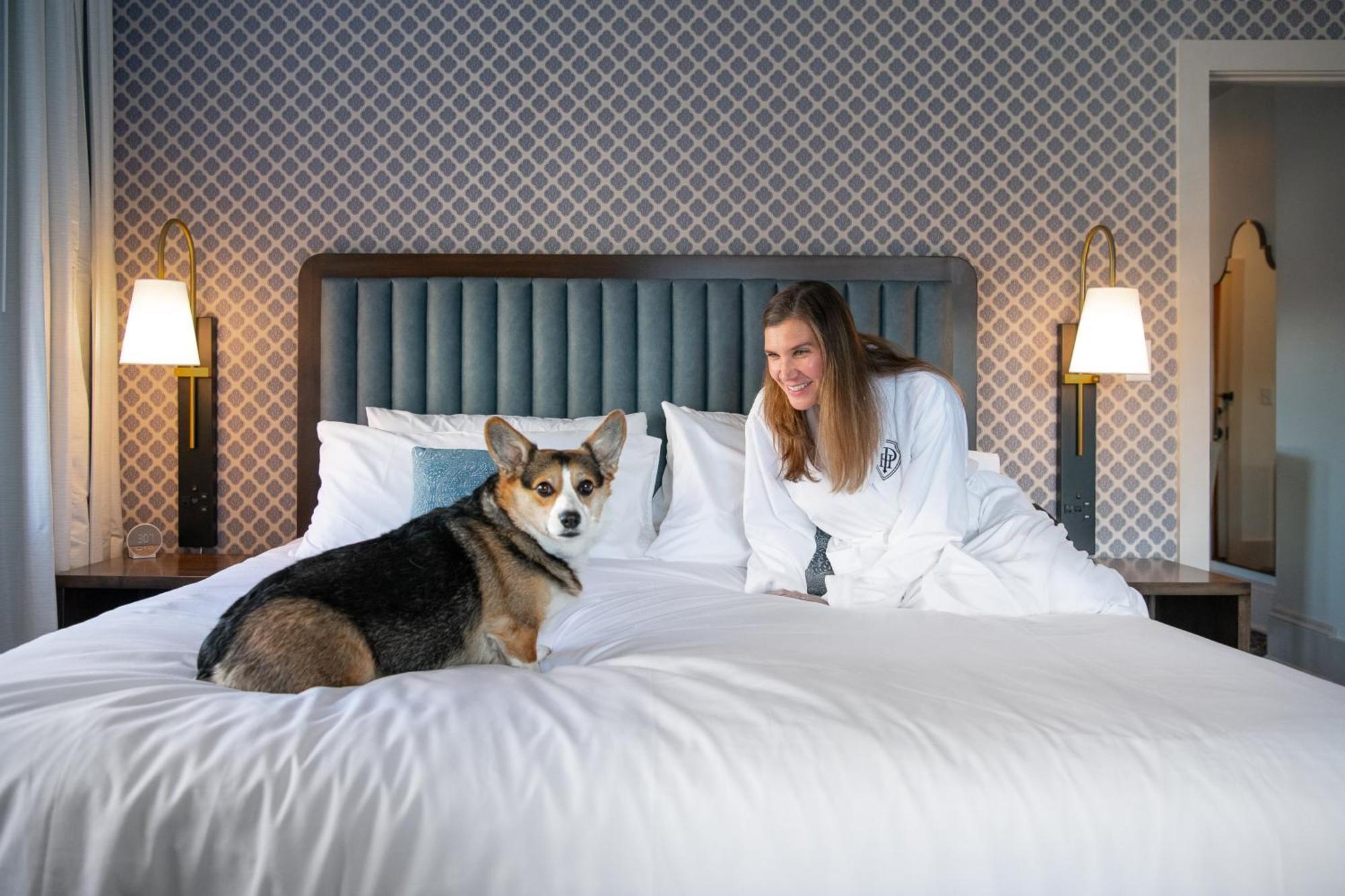 Hotel Petersburg, Tapestry Collection By Hilton ภายนอก รูปภาพ
